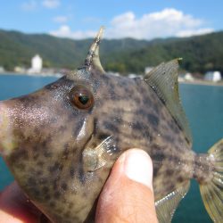 なかなか渋い日になりました。